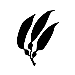 Aquarium's logo